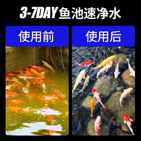 戶外養魚風水